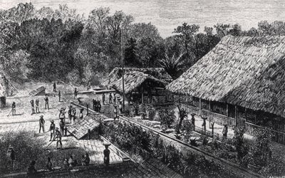 Trabajadores en una plantación de café de F.M. Reynolds